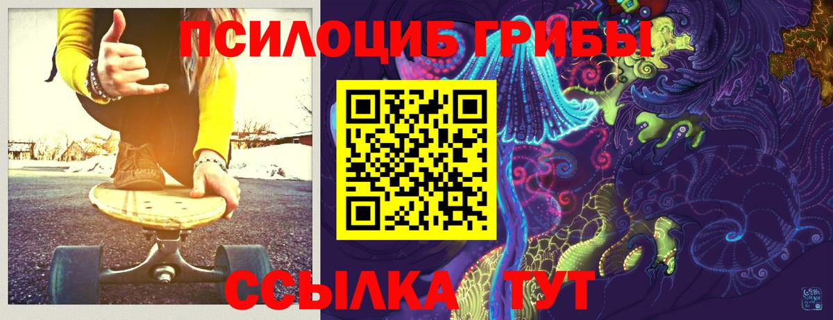 Галлюциногенные грибы мицелий  Вход с VPN  Александров  наркошоп  Галлюциногенные грибы прущие грибы 